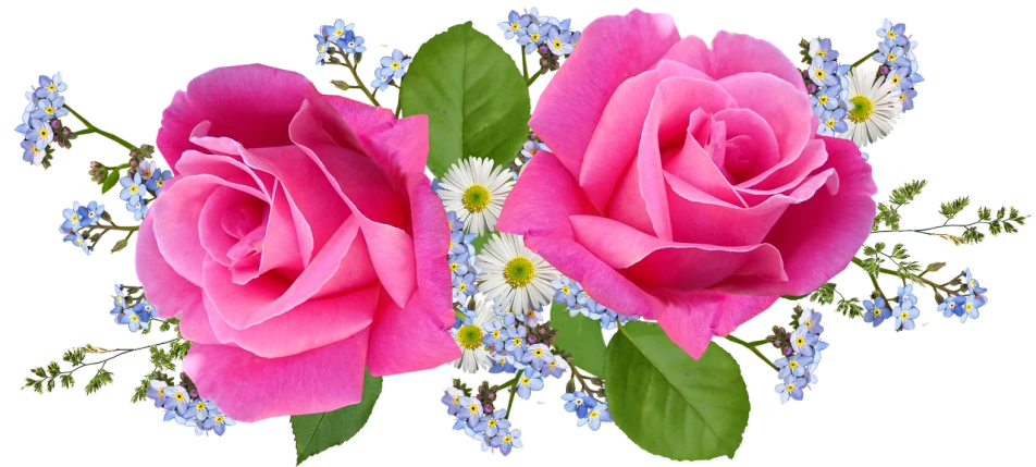 a couple of pink roses sitting next to each other, a digital rendering, inspired by Jan Henryk Rosen, flickr, blue flowers accents, happy!!!, beautiful flower, flowers and foliage