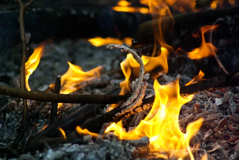 a close up of a fire with flames coming out of it, by Dietmar Damerau, figuration libre, shepherd's crook, flame stones are scattered, s'mores, not cropped