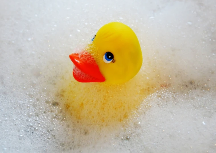 a yellow rubber duck in a bubble filled bathtub, pexels, process art, 1024x1024, feathers ) wet, sponge, artem