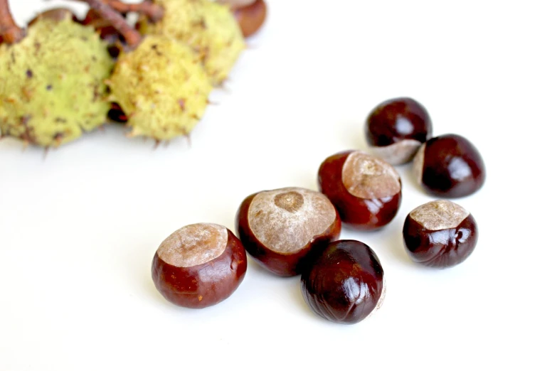 a bunch of chestnuts sitting on top of a table, an illustration of, by Yasushi Sugiyama, unsplash, sōsaku hanga, with a white background, nipple, acorns, 2 0 1 4