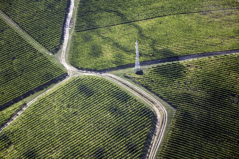 an aerial view of a road through a tea plantation, by Hans Schwarz, conceptual art, antenna, wine, vienna, 1km tall