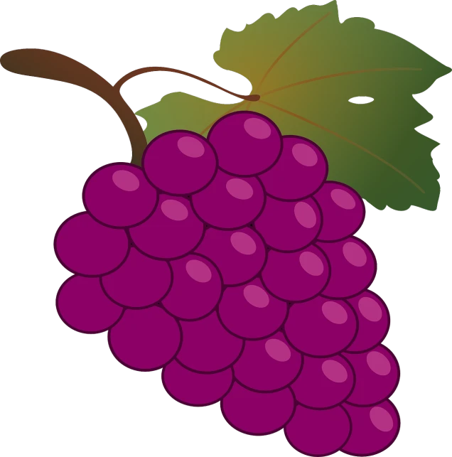 a bunch of grapes with a green leaf, a digital rendering, inspired by Masamitsu Ōta, sōsaku hanga, purple crimson color scheme, profile pic, honey, turkey