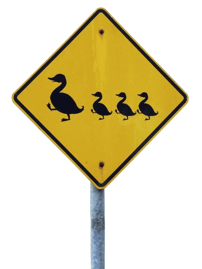 a yellow duck crossing sign sitting on top of a pole, an illustration of, by Dennis Flanders, black swans, family, photoshop, pregnancy