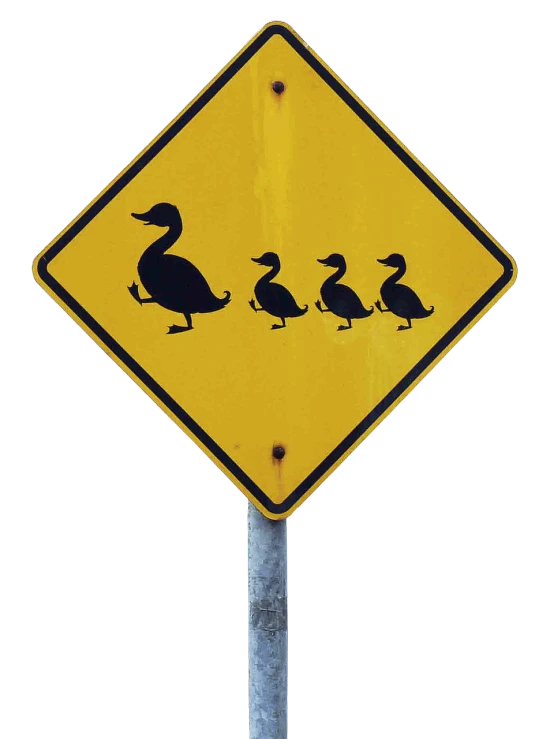 a yellow duck crossing sign sitting on top of a pole, an illustration of, by Dennis Flanders, black swans, family, photoshop, pregnancy