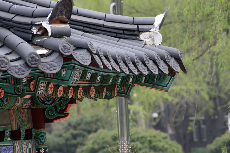 a bird is perched on the roof of a building, a picture, inspired by Kim Hong-do, flickr, cloisonnism, heads of wooden of bird face, sangyeob park, ornate palace made of green, color photo