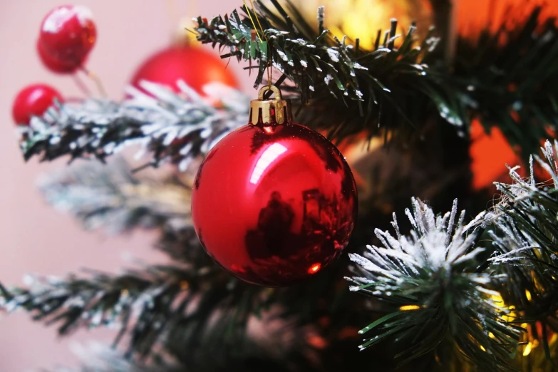 a red ornament hanging from a christmas tree, a picture, pexels, realism, - h 1 0 2 4, middle close up composition, artificial, pine tree