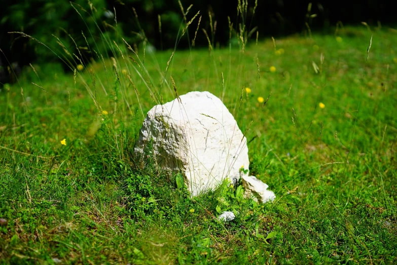 a white rock sitting on top of a lush green field, a marble sculpture, by Erwin Bowien, sisyphus compostition, taken with a canon dslr camera, occasional small rubble, hiding in grass