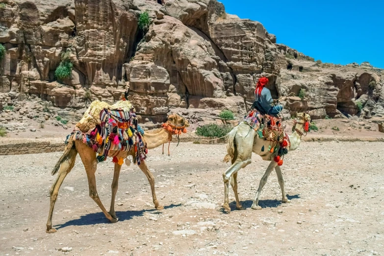 a man riding on the back of a camel, a colorized photo, shutterstock, traveling through the mountains, jordan, travelers walking the streets, red flags holiday
