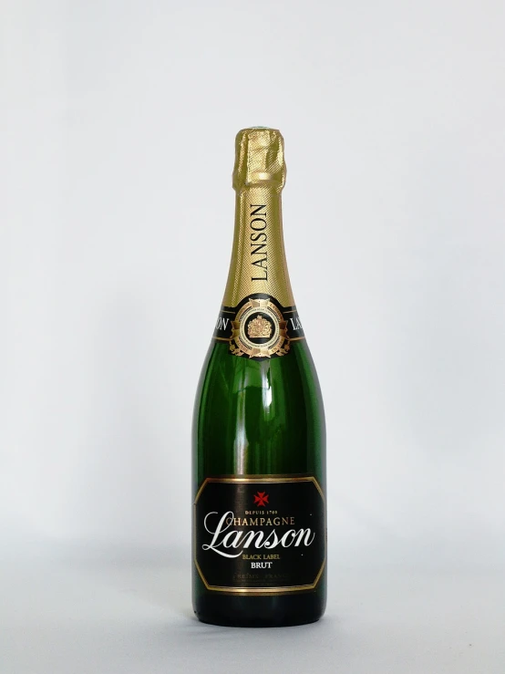 a bottle of champagne sitting on top of a table, by Lars Jonson Haukaness, on clear background, high quality product image”, samson pollen, detailed picture