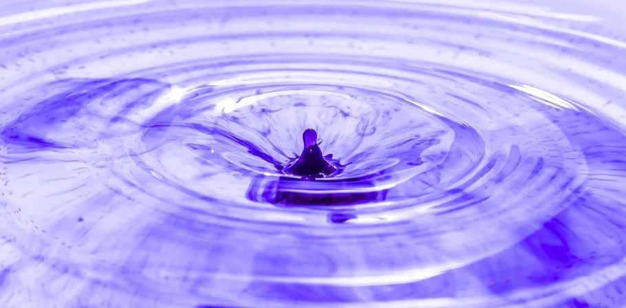 a close up of a water drop in a bowl, pexels, process art, purple tornado, compass energy flowing, wallpaper - 1 0 2 4, violet flower