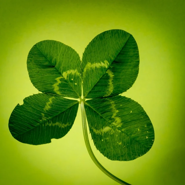 a close up of a four leaf clover, shutterstock, in style of mike savad”, retro style ”