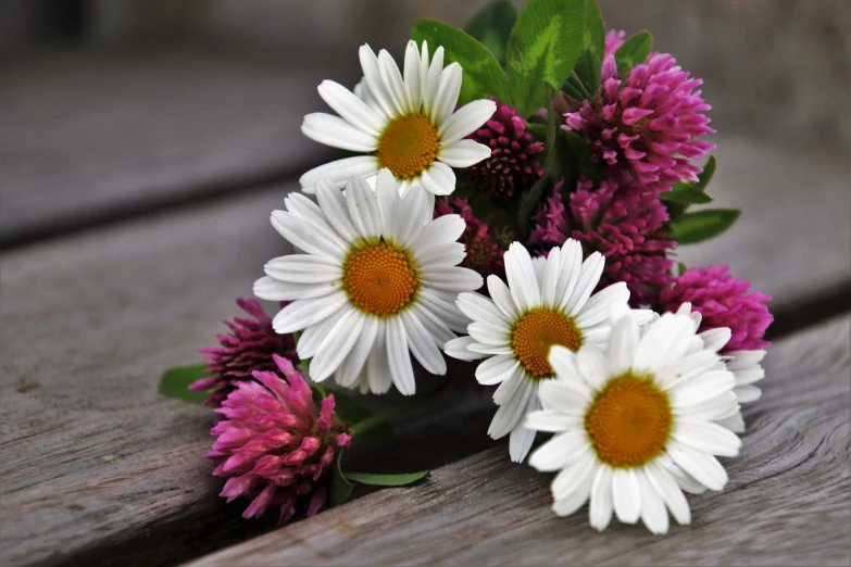 a bunch of flowers sitting on top of a wooden table, a picture, by David Garner, pexels, daisies, white and purple, beautiful symmetric, pink yellow flowers