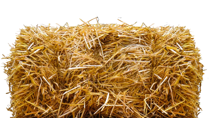 a bale of hay on a black background, shutterstock, process art, ground-level view, snapchat photo, highly detailed product photo, low resolution
