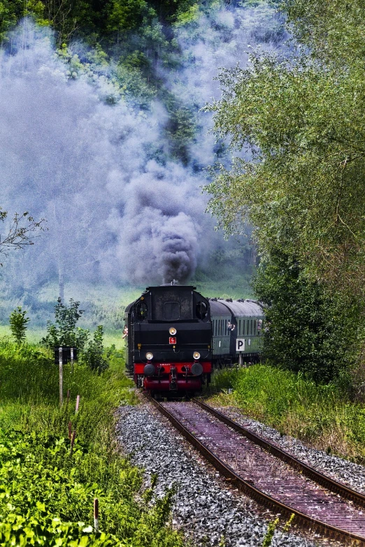 a train traveling down train tracks next to a forest, a portrait, by Hans Schwarz, pixabay contest winner, romanticism, brass and steam technology, hot summer day, leaving for battle, low dutch angle