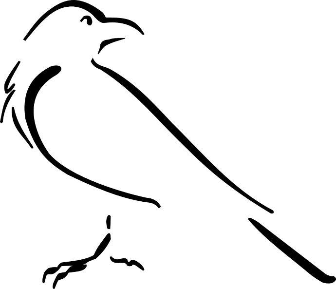 a black and white drawing of a bird, lineart, inspired by Aldus Manutius, trending on pixabay, the shrike, stylized bold outline, !!! very coherent!!! vector art, proud looking away