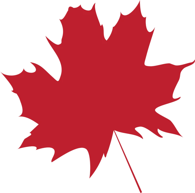 a red maple leaf on a black background, inspired by Masamitsu Ōta, hurufiyya, vectorized, boards of canada album cover, full res, cartoonish and simplistic