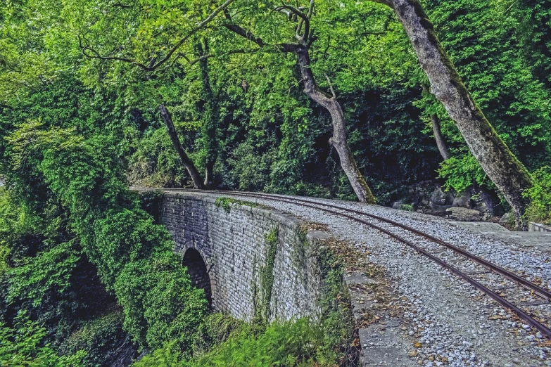 a train traveling through a lush green forest, a colorized photo, inspired by Hristofor Žefarović, renaissance, stone bridge, road to the sea, irish forest, high quality photos