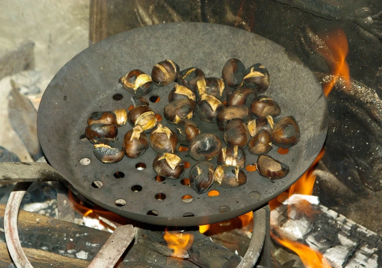 roasting chestnuts in a frying pan over an open fire, by Dietmar Damerau, hurufiyya, abalone, grills, pelzebug, shells