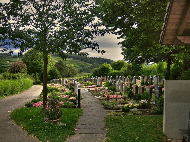 a cemetery filled with lots of flowers and trees, a photo, by Hans Schwarz, flickr, lush countryside, vdovenko, by rainer hosch, graveside