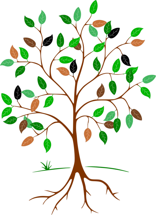 a tree with green leaves and brown branches, trending on pixabay, naive art, with a black background, avatar image, animation, miranda meeks