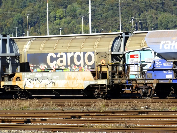 a train traveling down train tracks next to a forest, a portrait, by Edwin Georgi, flickr, graffiti, truck, caravagio, seen from the side, port