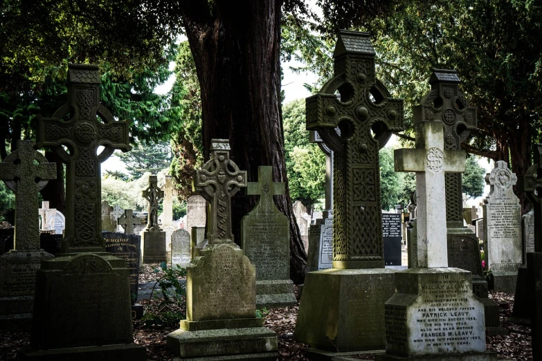 a cemetery filled with lots of tombstones and trees, by Eamon Everall, cross composition, so come on, full res, holywood scene