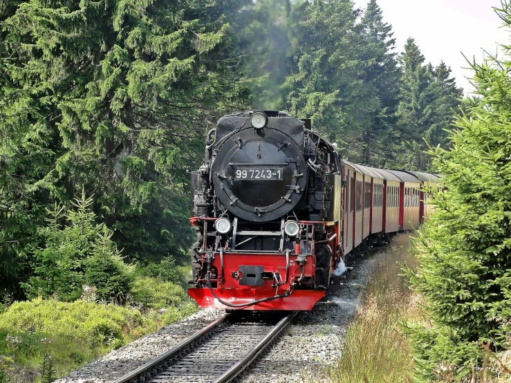 a train traveling down train tracks next to a forest, a portrait, by Jörg Immendorff, pixabay, bauhaus, steam engine, profile picture 1024px, summer day, anato finnstark. front view