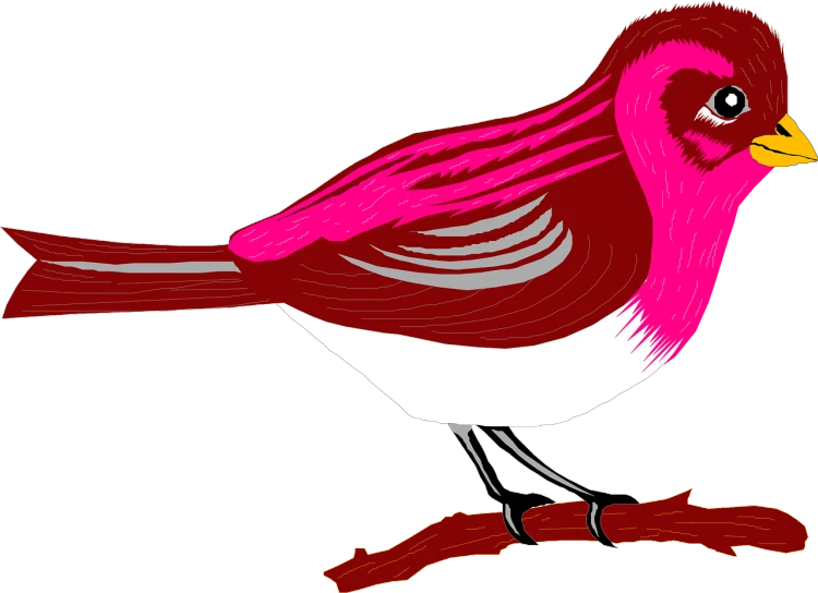 a pink and white bird sitting on a branch, an illustration of, inspired by John James Audubon, trending on pixabay, mingei, side view centered, red colored, ms paint drawing, quarter view