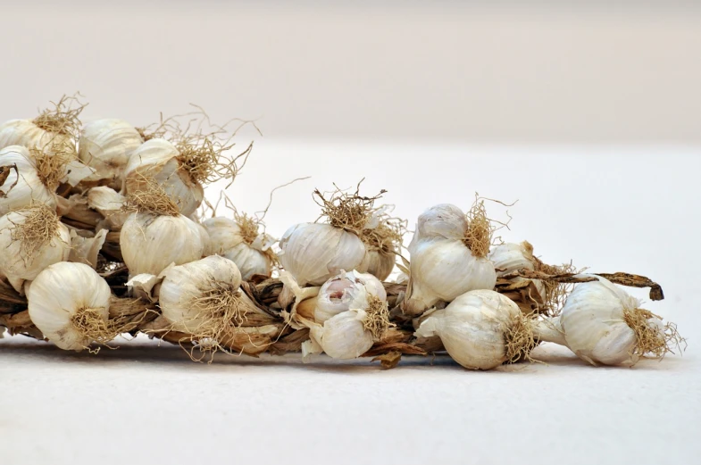 a bunch of garlic sitting on top of a table, inspired by Carpoforo Tencalla, romanticism, kiki smith, closeup - view, aorta, white hairs