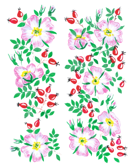a pair of flowers on a black background, inspired by Nagasawa Rosetsu, tumblr, naive art, berries decoration on the dress, beautiful border, rose-brambles, vladimir nikolov