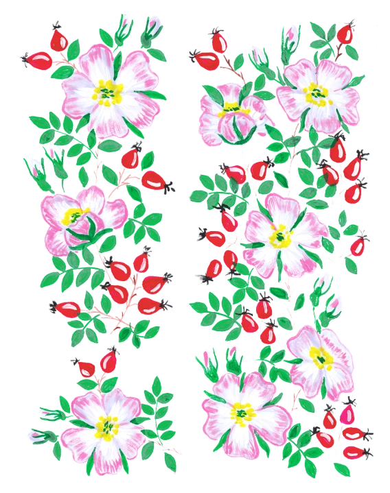 a pair of flowers on a black background, inspired by Nagasawa Rosetsu, tumblr, naive art, berries decoration on the dress, beautiful border, rose-brambles, vladimir nikolov