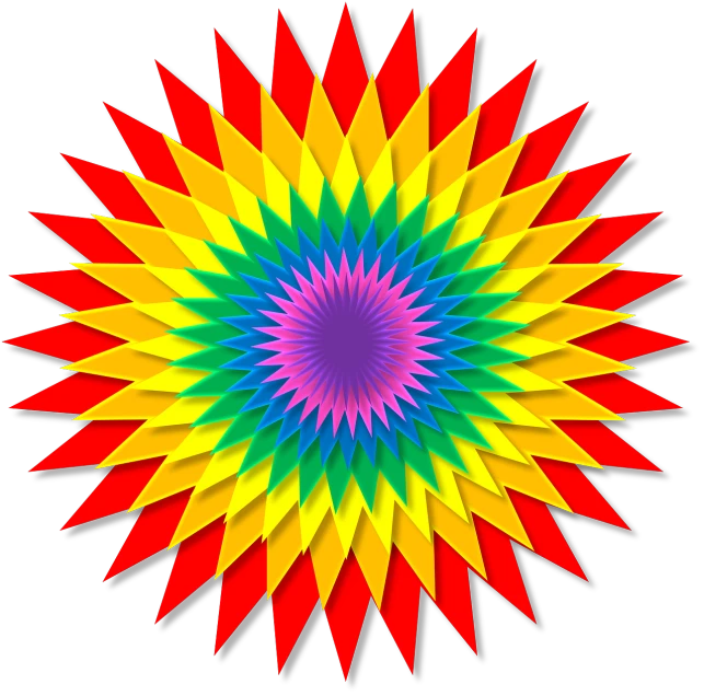 a brightly colored flower on a black background, a raytraced image, inspired by Gabriel Dawe, psychedelic art, judy chicago, svg illustration, summer color pattern, star