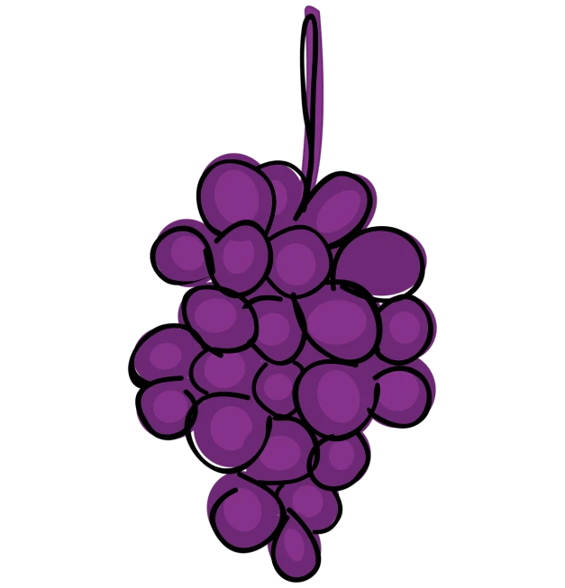 a bunch of grapes hanging from a hook, a digital rendering, inspired by Patrick Caulfield, hurufiyya, black purple studio background, cell shaded cartoon, view from bottom to top, single color