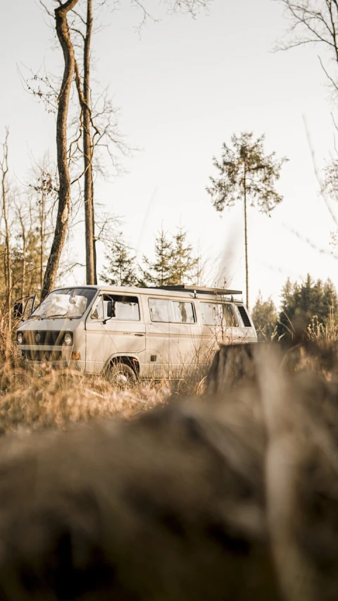 a van that is sitting in the grass, a picture, by Justus van Gent, unsplash, realism, german forest, in a dried out field, 🕹️ 😎 🔫 🤖 🚬, vintage - w 1 0 2 4