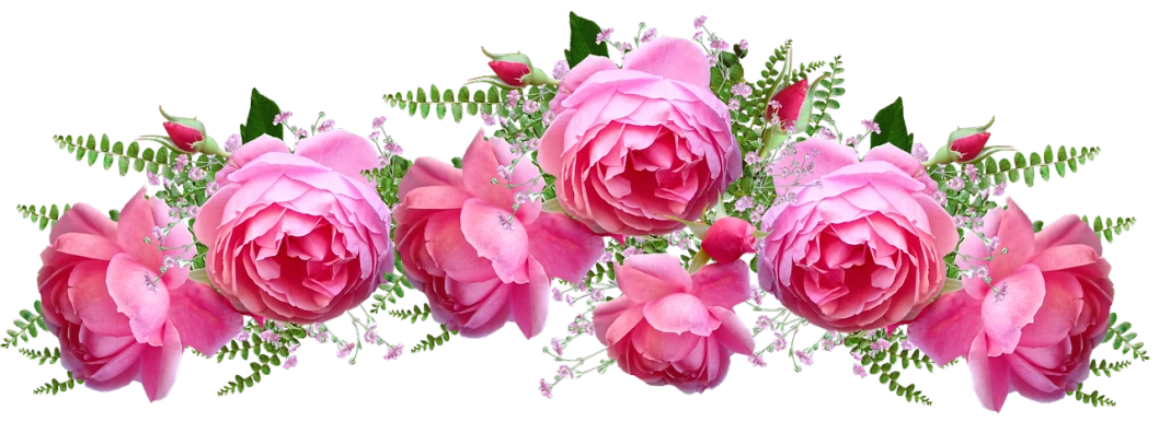 a bouquet of pink roses on a black background, a digital rendering, by Carol Sutton, pixabay, roses and lush fern flowers, banner, rose crown, floral lacework