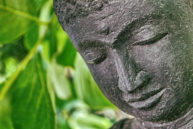 a close up of a statue of a person, shutterstock, zen natural background, closeup at the face, lush green, portrait mode photo