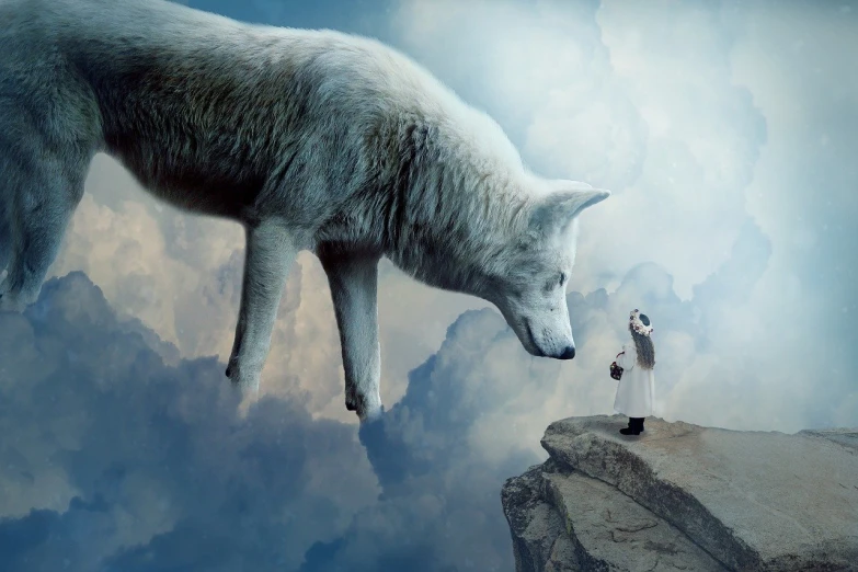 a man standing on top of a cliff next to a wolf, magical realism, creative photo manipulation, white fox, she is approaching heaven, watch photo