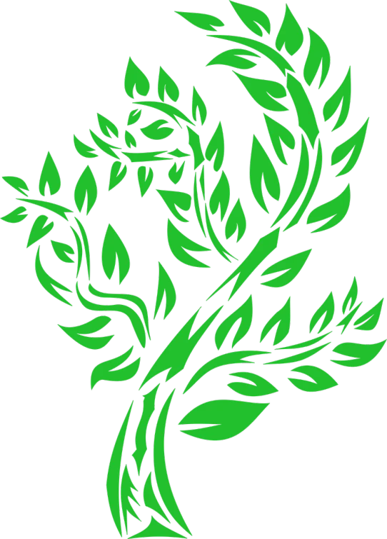 a green tree with leaves on a black background, inspired by Masamitsu Ōta, the emerald herald, green arms, profile picture, loosely cropped