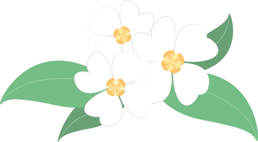 a bunch of white flowers with green leaves, an illustration of, inspired by Masamitsu Ōta, trending on pixabay, cutie mark, high detail illustration, with a black background, 3 are spring