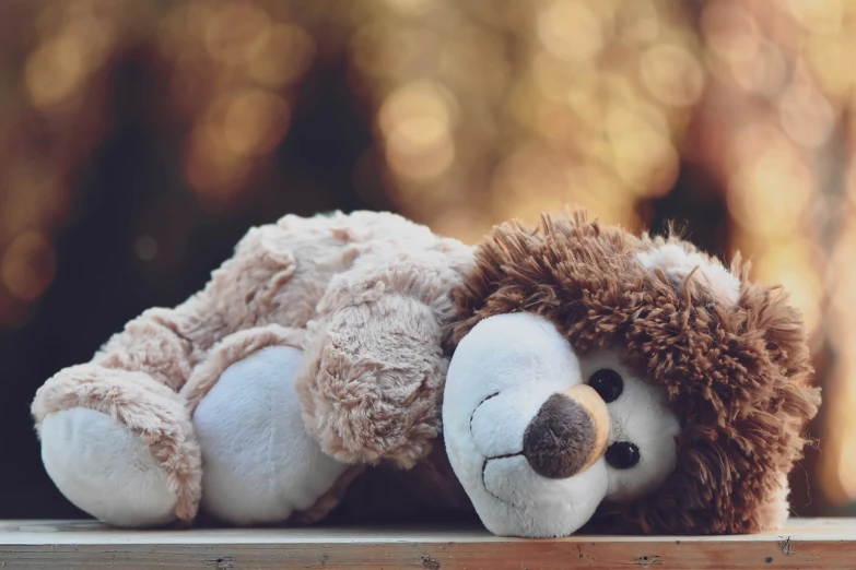 a teddy bear laying on top of a wooden table, a picture, pexels, cute lion, tired half closed, wallpaper mobile, almost smiling