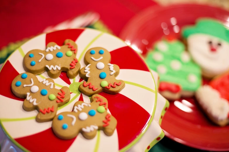 a close up of a plate of cookies on a table, pexels, naive art, gingerbread people, vibrant red and green colours, shiny!!, 🐿🍸🍋