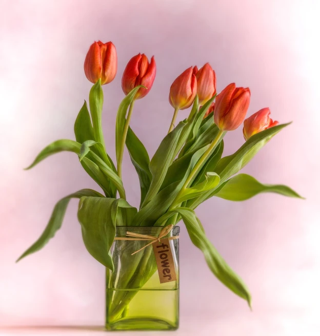 a vase filled with red tulips sitting on a table, a pastel, by Andries Stock, shutterstock, romanticism, 7 0 mm photo, stock photo, accurate detail, close-up product photo