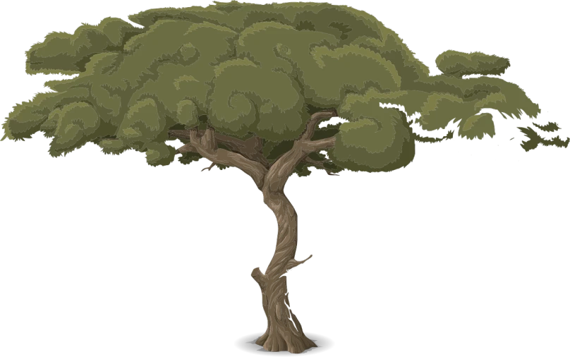 a tree with green leaves on a black background, concept art, inspired by Edgar Schofield Baum, the curse of monkey island, savana background, here is one olive, uzumaki