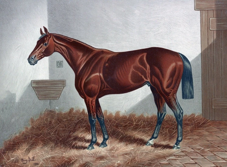 a painting of a horse in a stable, by John Frederick Herring, Jr., shutterstock, detailed color scan, encyclopedia illustration, horse racing, sharp high detail illustration