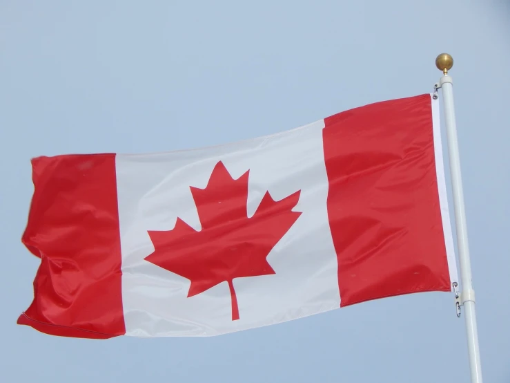 a canadian flag blowing in the wind, a picture, by Rhea Carmi, hurufiyya, ca, banner, 2 0 0 mm telephoto, watch photo