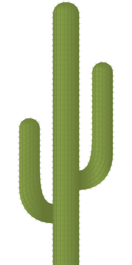 a green cactus on a black background, a digital rendering, art deco, tall thin, vectorized, high res photo