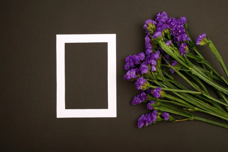 a picture frame sitting next to a bunch of purple flowers, a stock photo, by Jan Rustem, art photography, black flat background, concept photo, 4 k product photo, photo of a beautiful