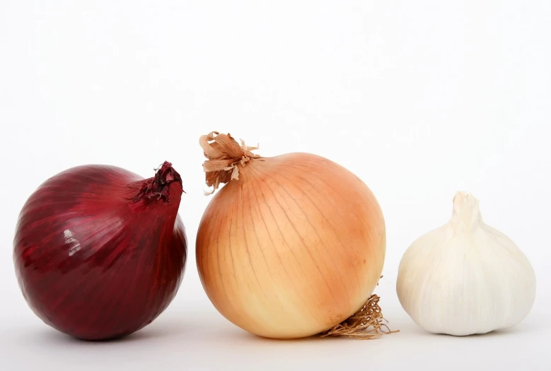 a couple of onions sitting next to each other, renaissance, three colors, istockphoto, high key, in a row