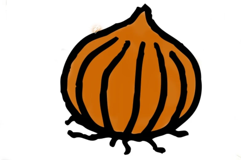 a drawing of an onion on a white background, a digital rendering, inspired by Pál Böhm, reddit, hurufiyya, pumpkin patch, orange and black, from lorax movie, けもの