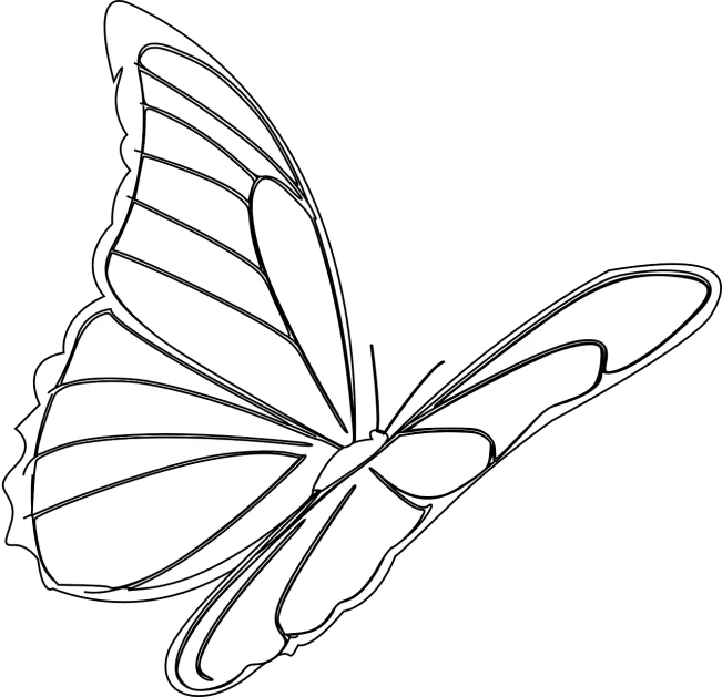 a white butterfly on a black background, lineart, pixabay, blank, from side, coloring page, ms paint drawing